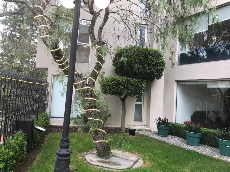 Hermoso Departamento En Bosques De Las Lomas Dos Habitaciones Meksyk Zewnętrze zdjęcie